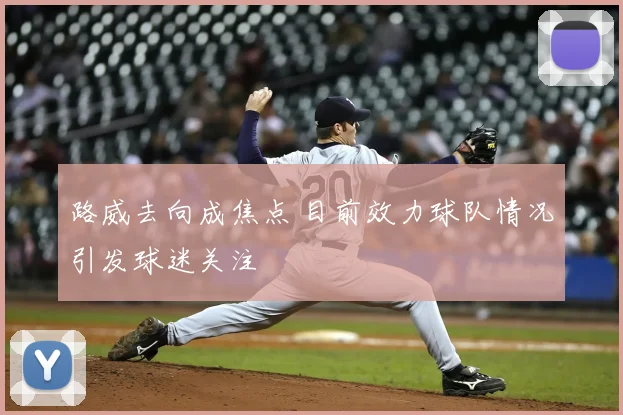 路威去向成焦点 目前效力球队情况引发球迷关注