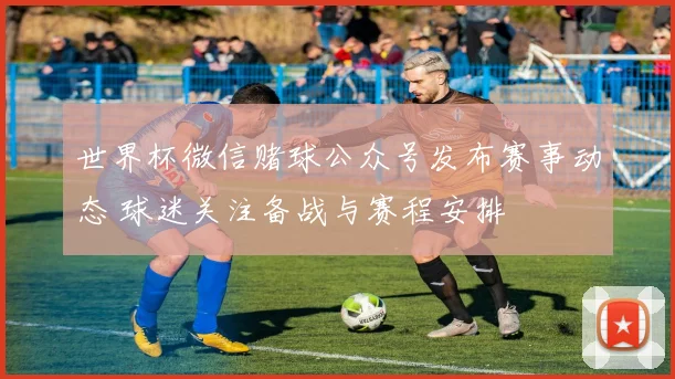世界杯微信赌球公众号发布赛事动态 球迷关注备战与赛程安排