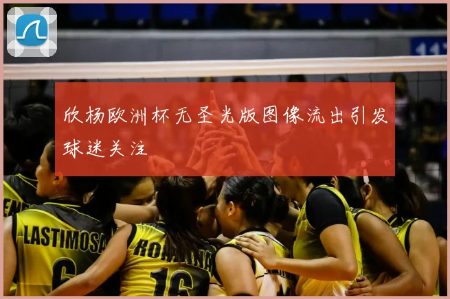 欣杨欧洲杯无圣光版图像流出引发球迷关注